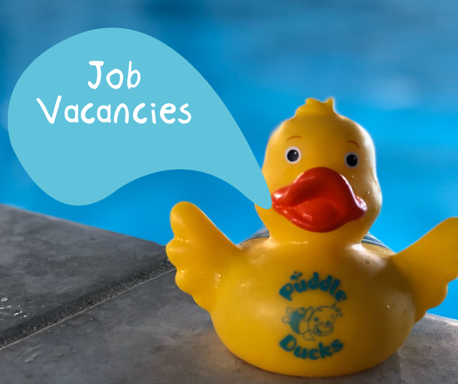 Job Vacanices