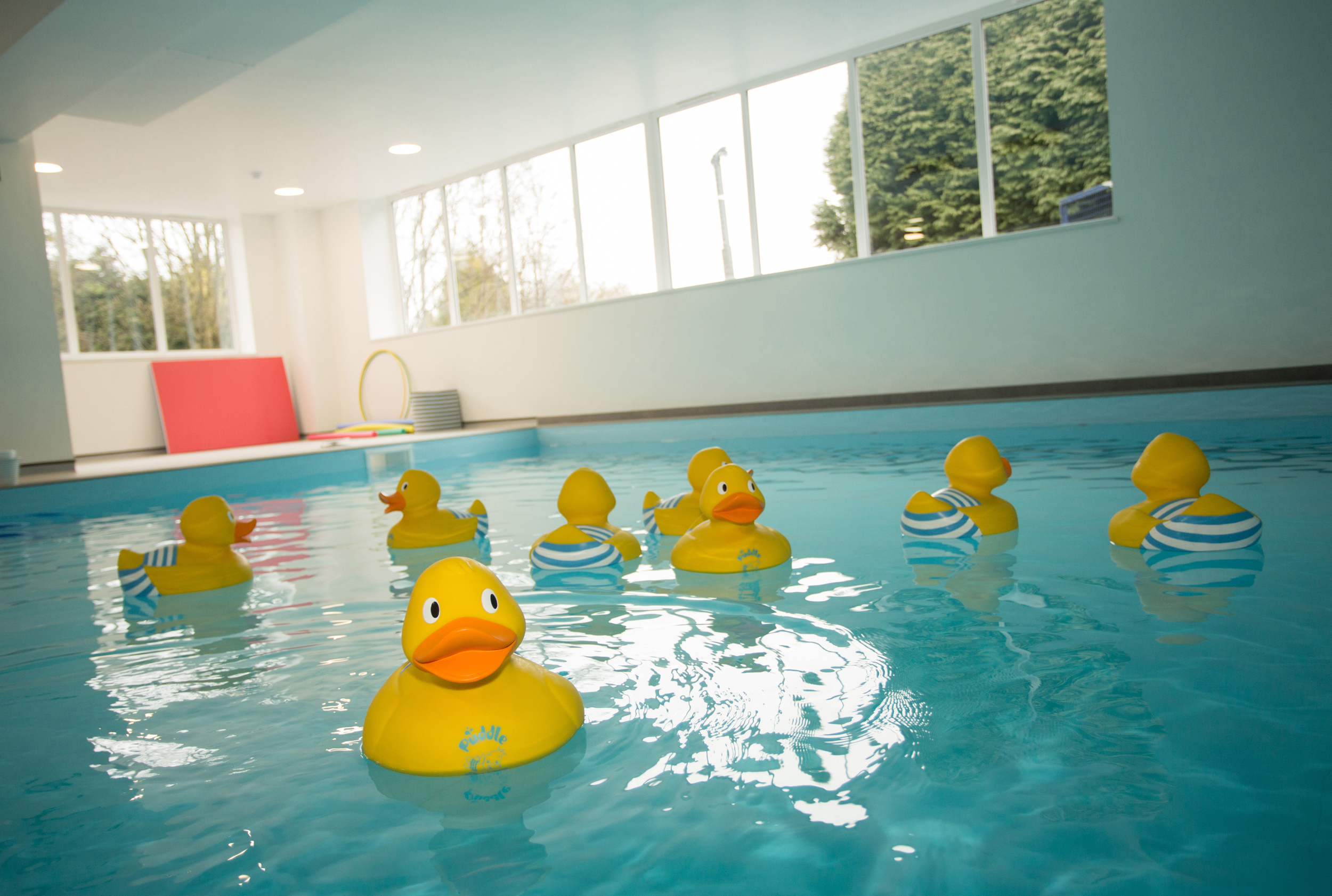 Ducks (Aqua Nurture) Image 2