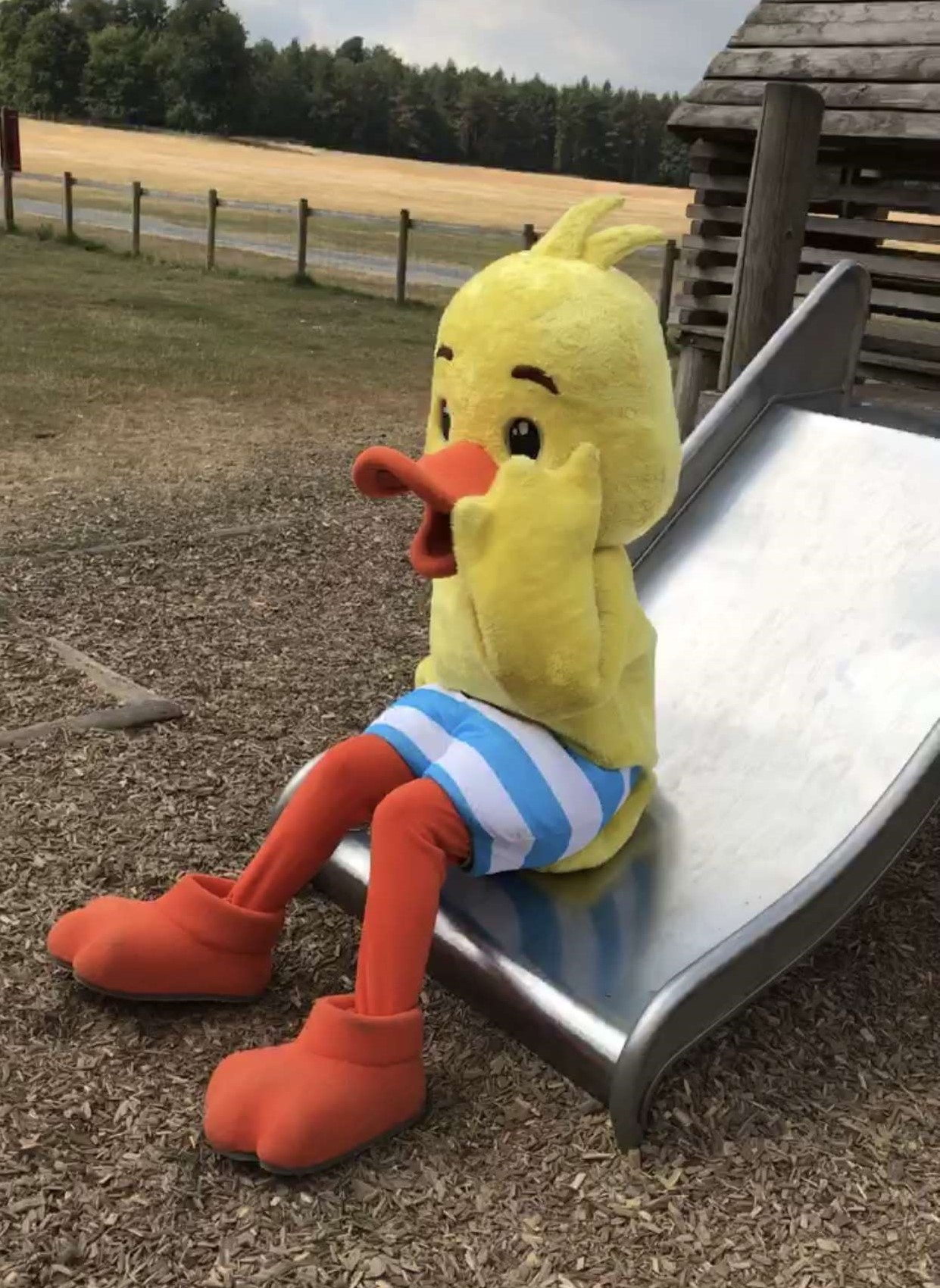 Martha and Annabel and Puddle The Duck