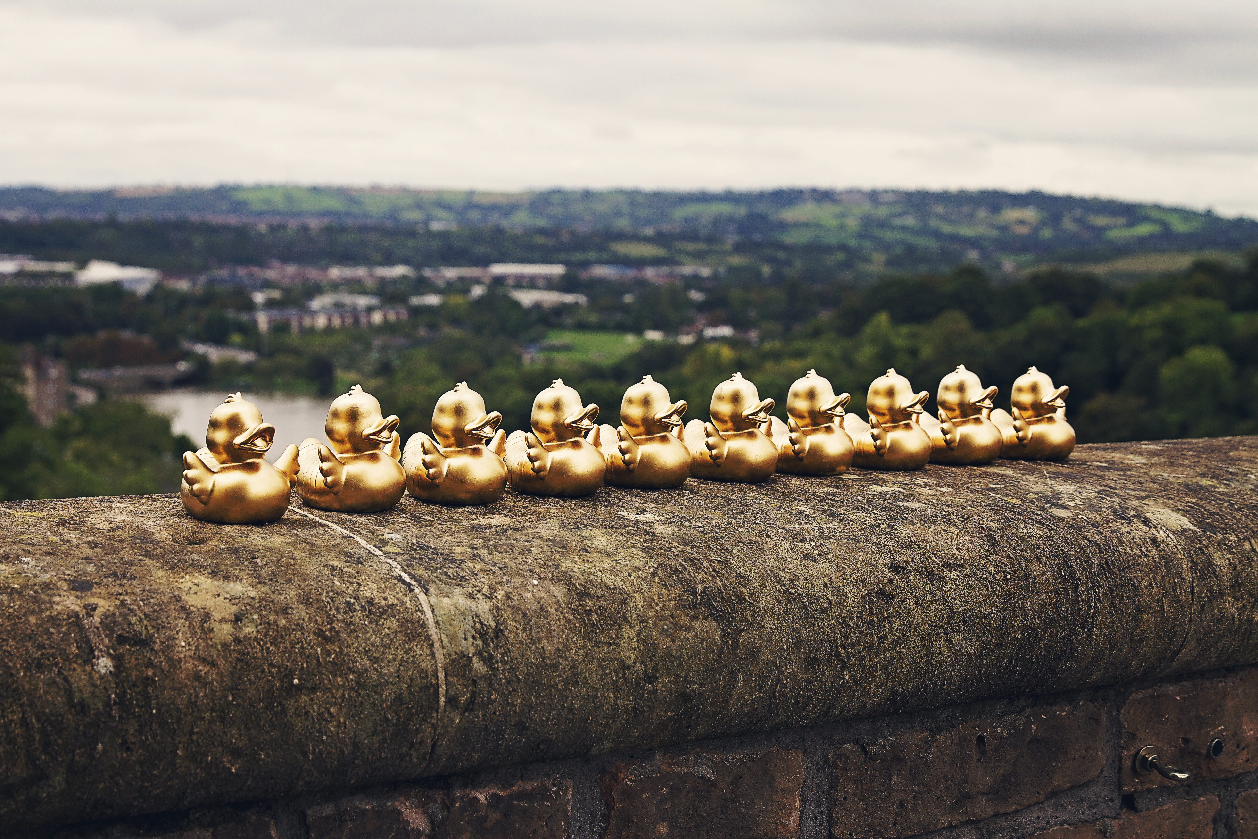 golden ducks in a row on bridge