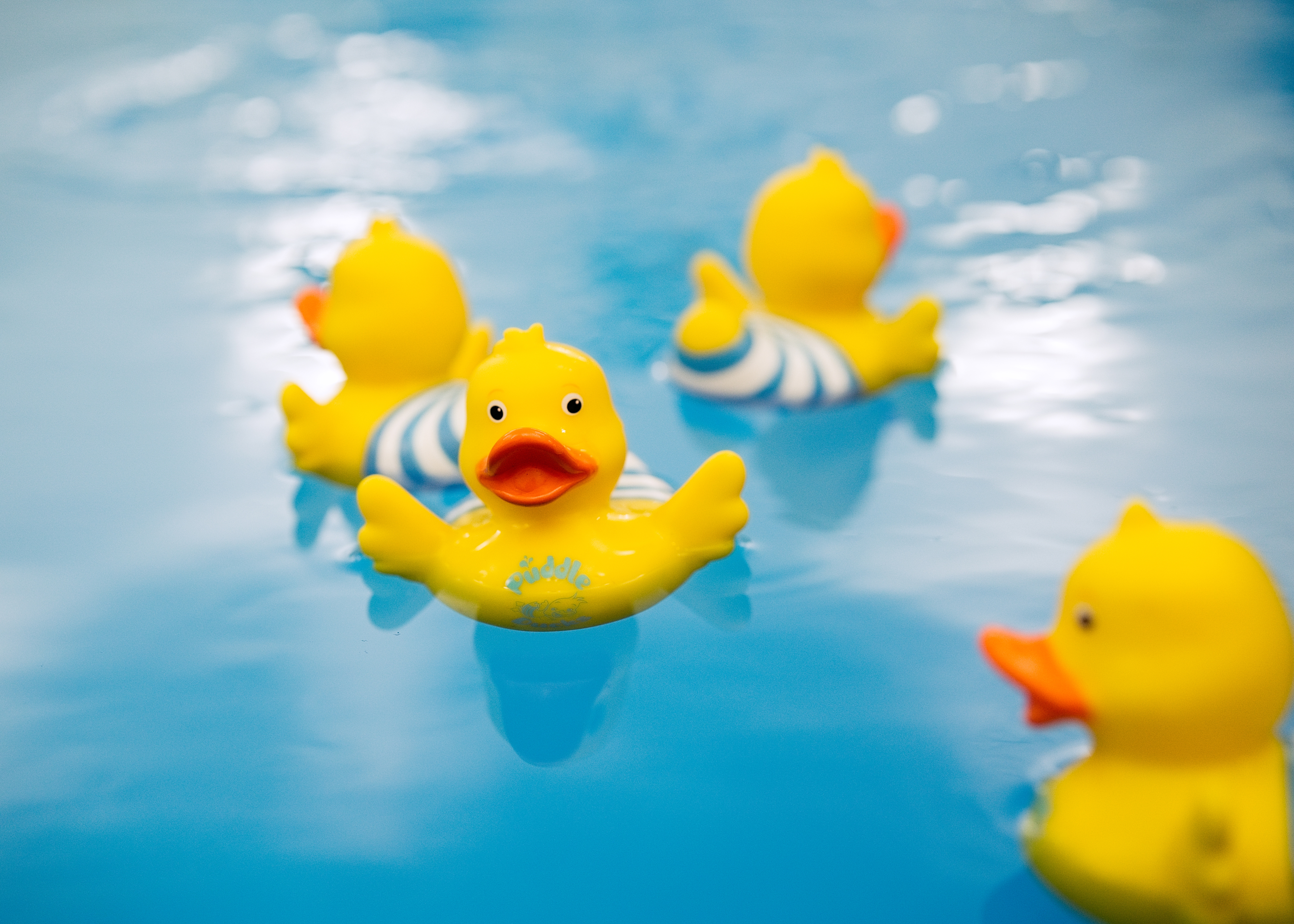 Puddleducks 0821 51